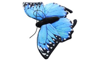 Obrázek z Motýl morpho plyš 24cm ECO-FRIENDLY 